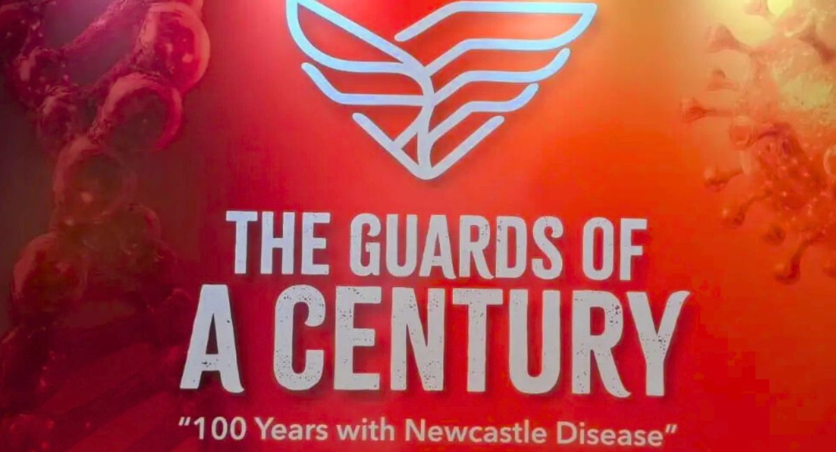 Newcastle Disease Control